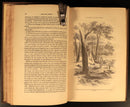 c1853 The Gold Finder Of Australia Illustrated Antiquarian History Book 1st Ed-11
