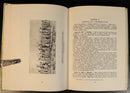 346f62e4-0dcc-44ef-83b3-d3b2baf86185