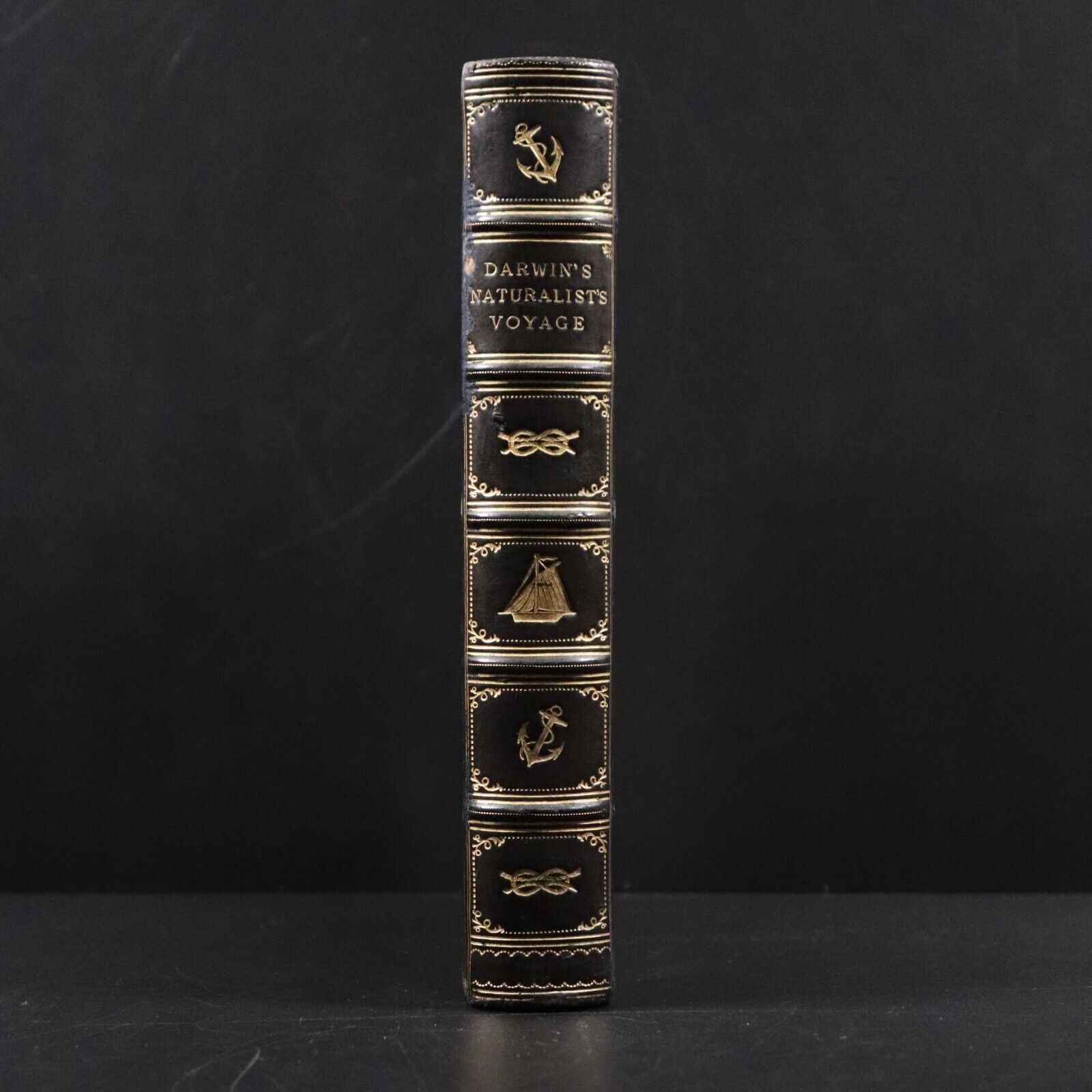 1897 A Naturalist's Voyage by Charles Darwin Antique Natural History Book Beagle - 0