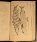 36247c92-6646-416d-ad48-cbb5893435e1