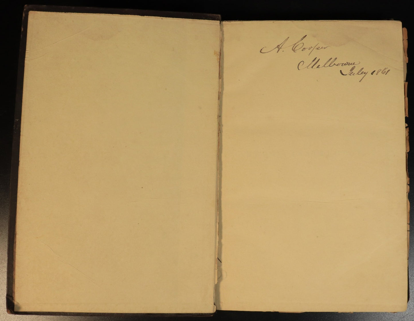 36c57a85-ed52-4eb6-8a3c-881905dd30d1