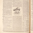 1895 6vol Lloyd's Encyclopaedic Dictionary British Antiquarian Reference Books-7