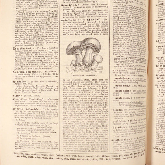 1895 6vol Lloyd's Encyclopaedic Dictionary British Antiquarian Reference Books