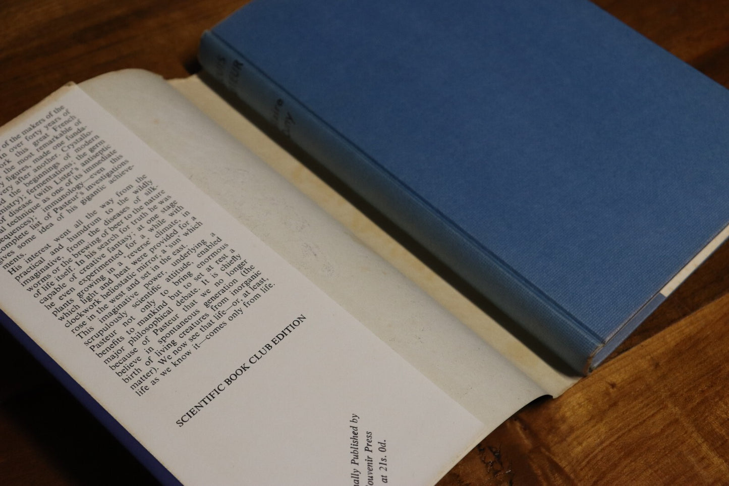 37cda31d-966d-45b0-9712-a4eb086958dc