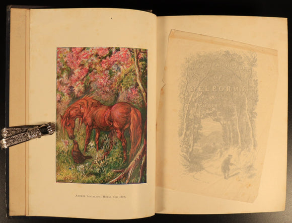 37f1bd8e-5af7-472d-872e-8302731a1885