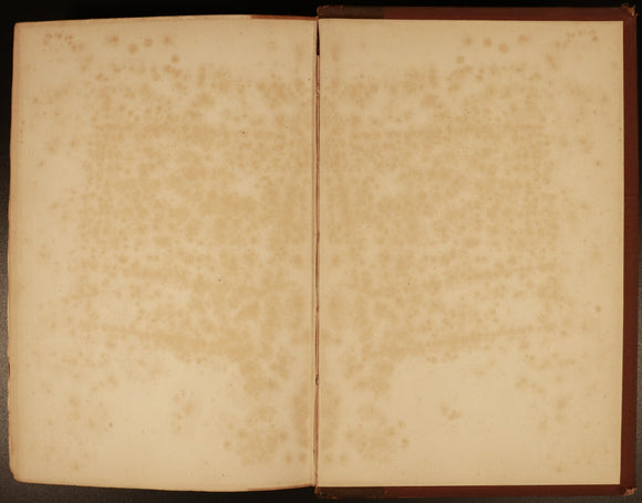 37f5919a-60aa-4cde-bd53-b90cd0725926