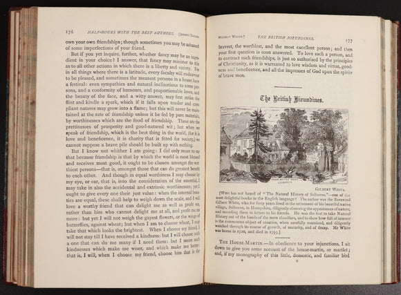 3862fe65-0a2e-434e-8e6a-d137a8c8a6b8