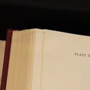 387ca3c3-1bbf-4de3-9bbd-f7327ee304f7