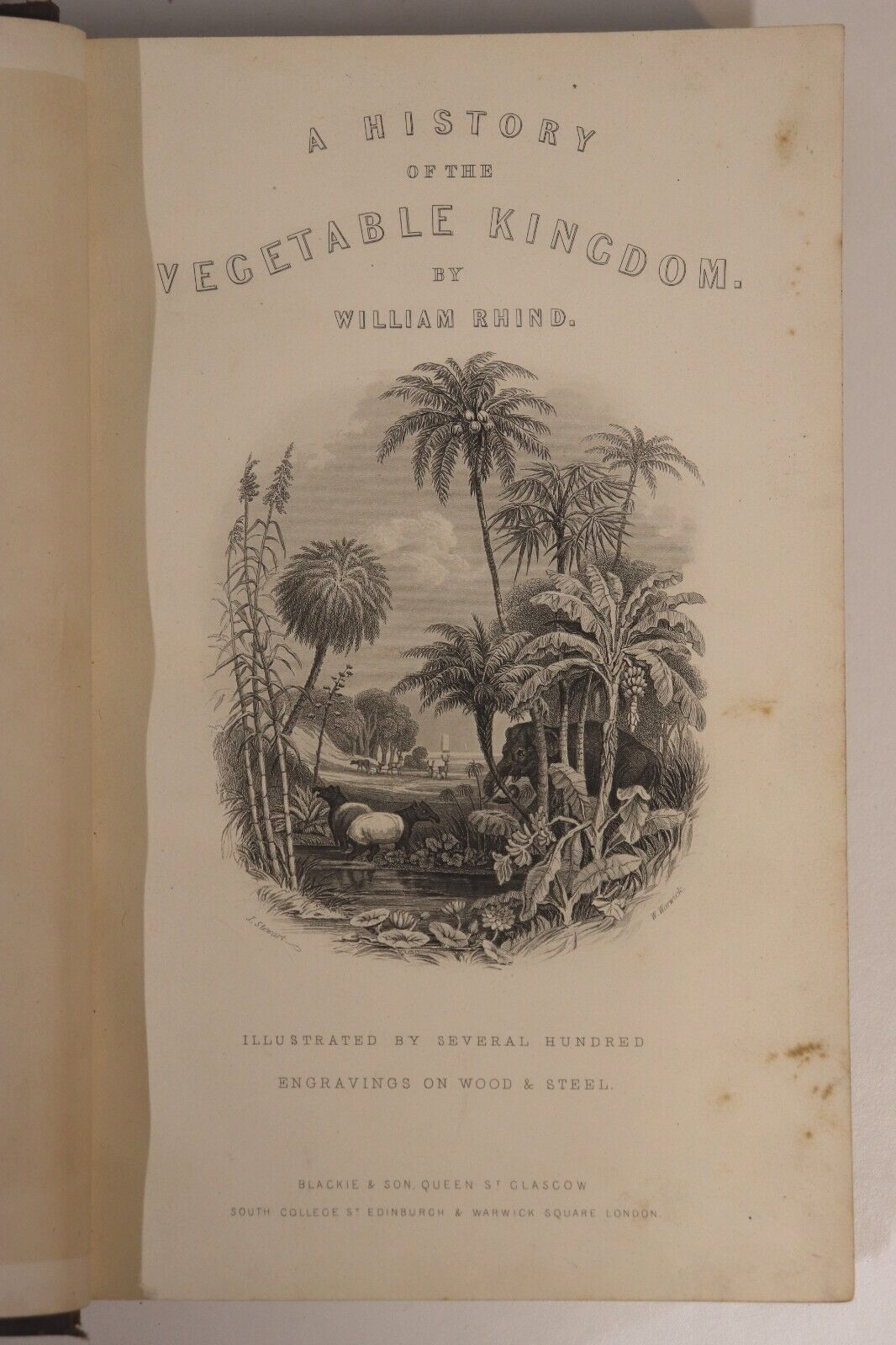 1866 History Of The Vegetable Kingdom Antiquarian Natural History Book W. Rhind