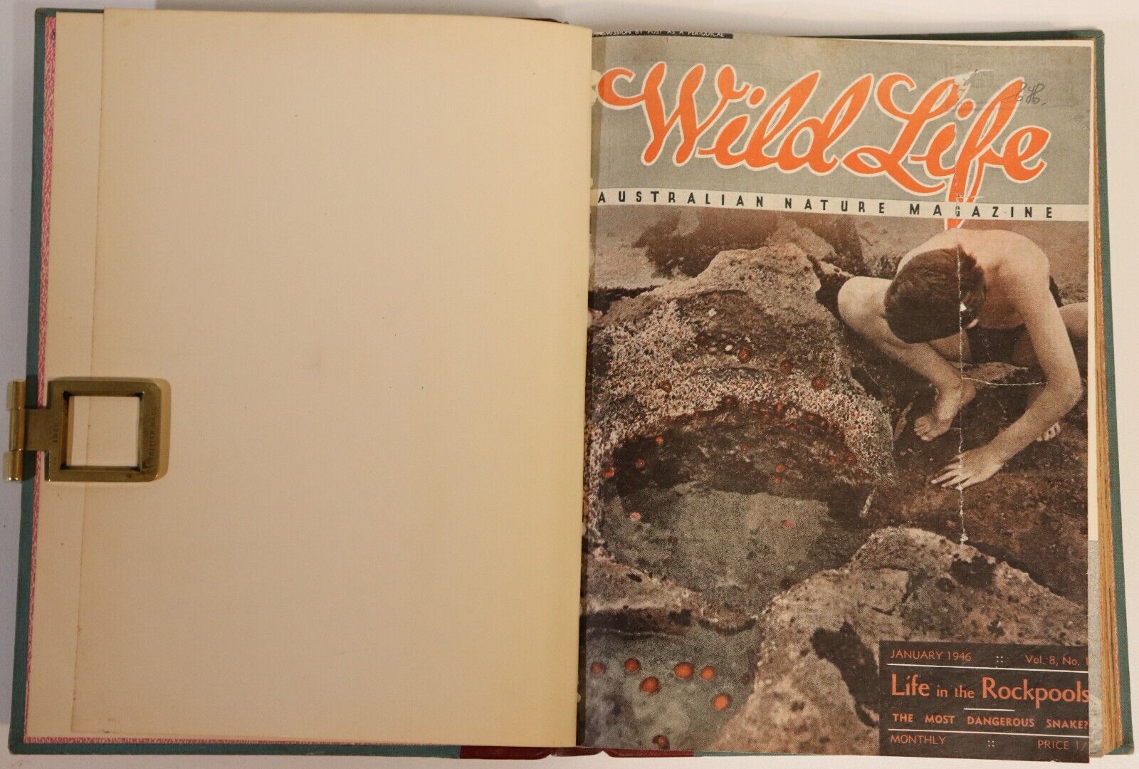 1946 2vol Wildlife: Australian Nature Magazine Antique Natural History Books - 0