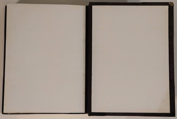 1878 2vol Picturesque World Scenes In Many Lands Antiquarian Book Set Engravings