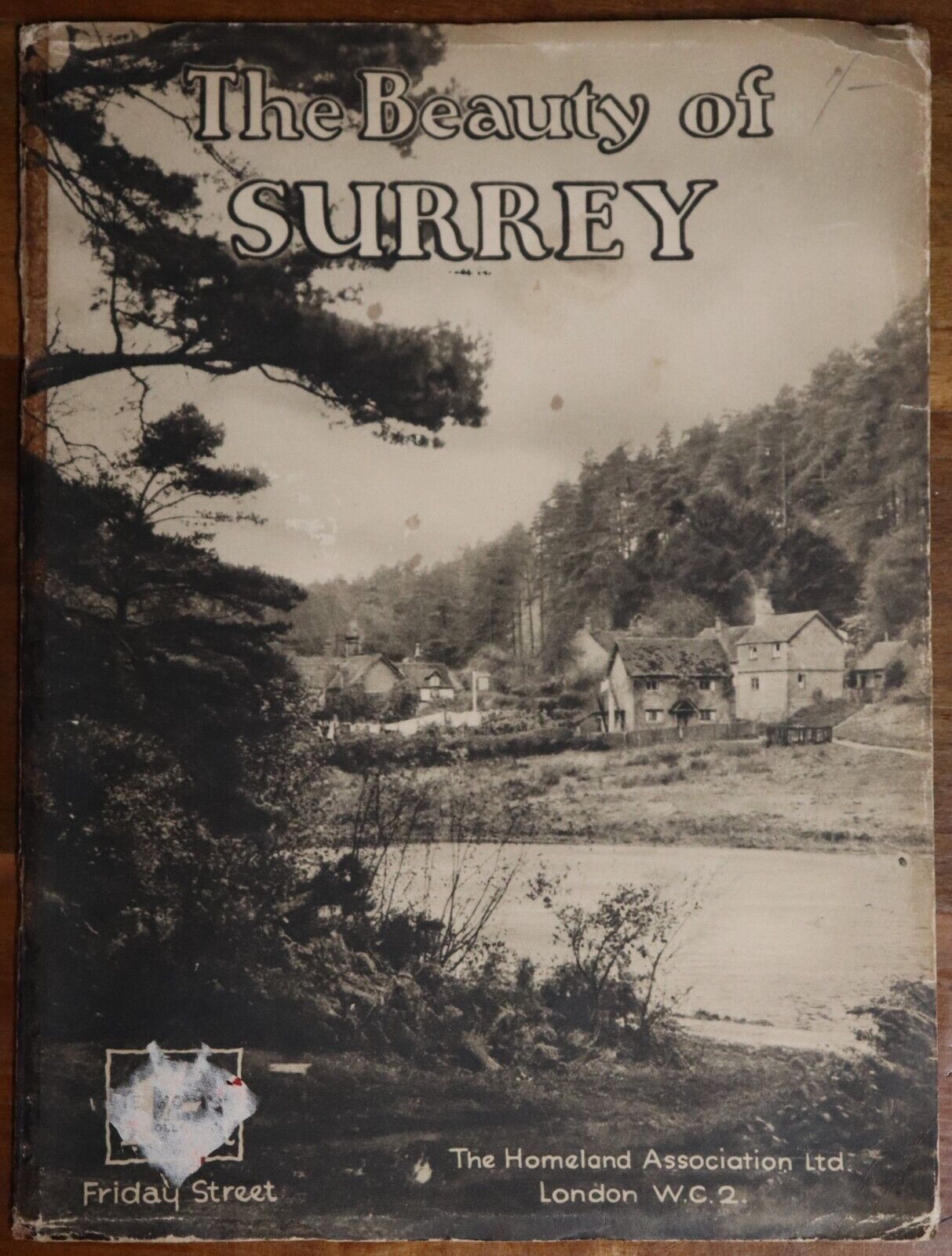 1934 The Beauty Of Surrey Antique British Natural History Book Dixon-Scott