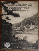 1934 The Beauty Of Surrey Antique British Natural History Book Dixon-Scott-1