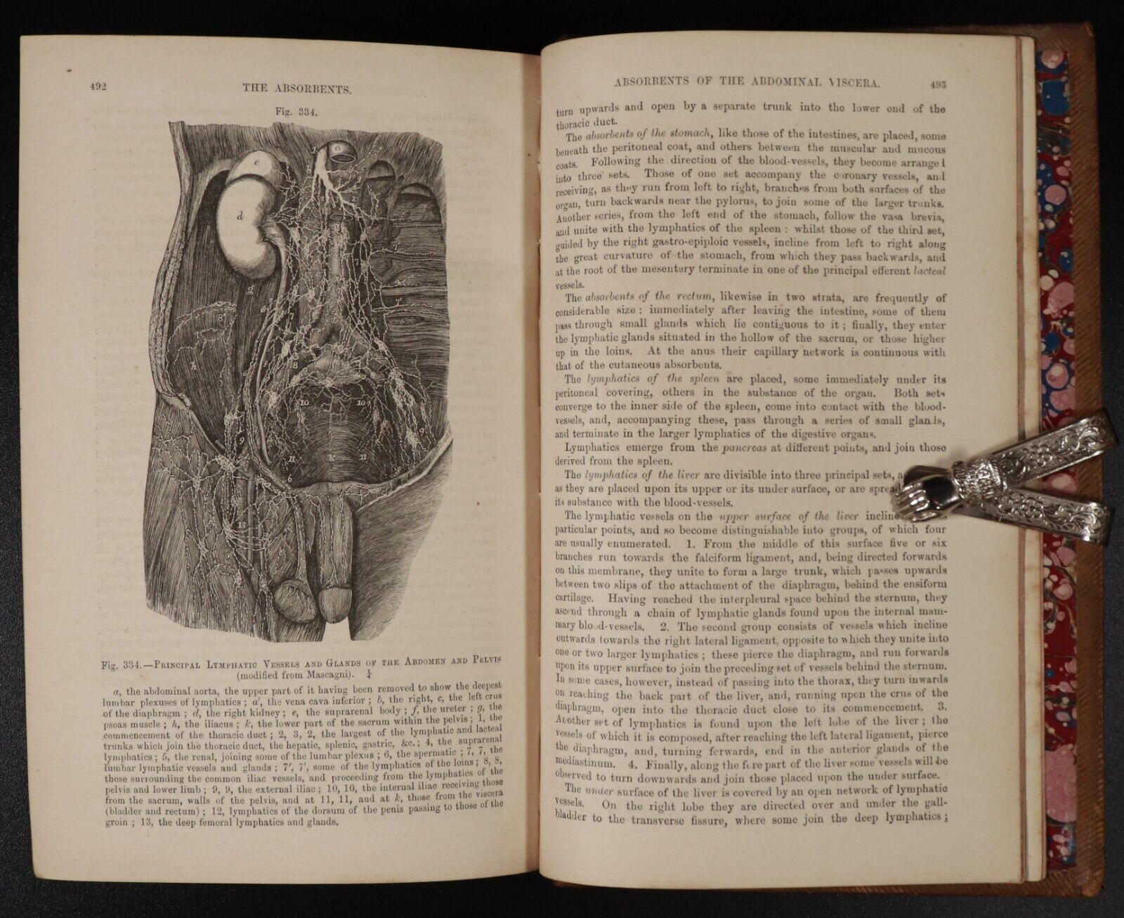 1867 Quain's Elements Of Anatomy Illustrated Antiquarian Medical Reference Book