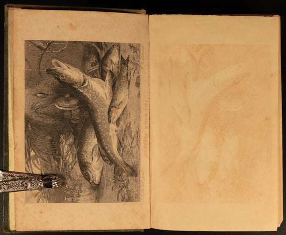 1848 The British Anglers Manual by TC Hofland Antique1st Edition Fishing Book