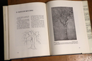 1963 Techniques Of Drawing by Howard Simon Vintage Art Tutorial Book-8