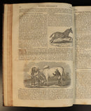 3ba410c4-c252-426b-9e1a-1619357015f6