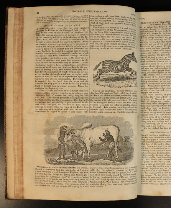 3ba410c4-c252-426b-9e1a-1619357015f6