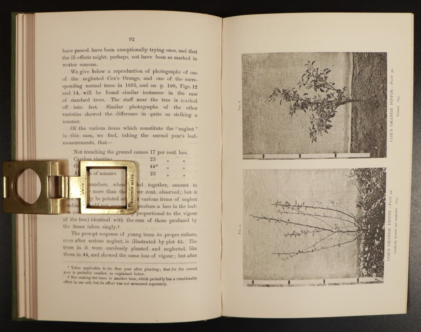 1897 Woburn Experimental Fruit Farm - Antique Natural History & Farming Book