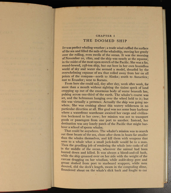 3bec188f-0112-4938-a722-2f17954f2a99