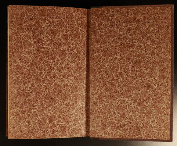 1863 2vol Manuel De l'Histoire De La Peinture Antiquarian French Art Books