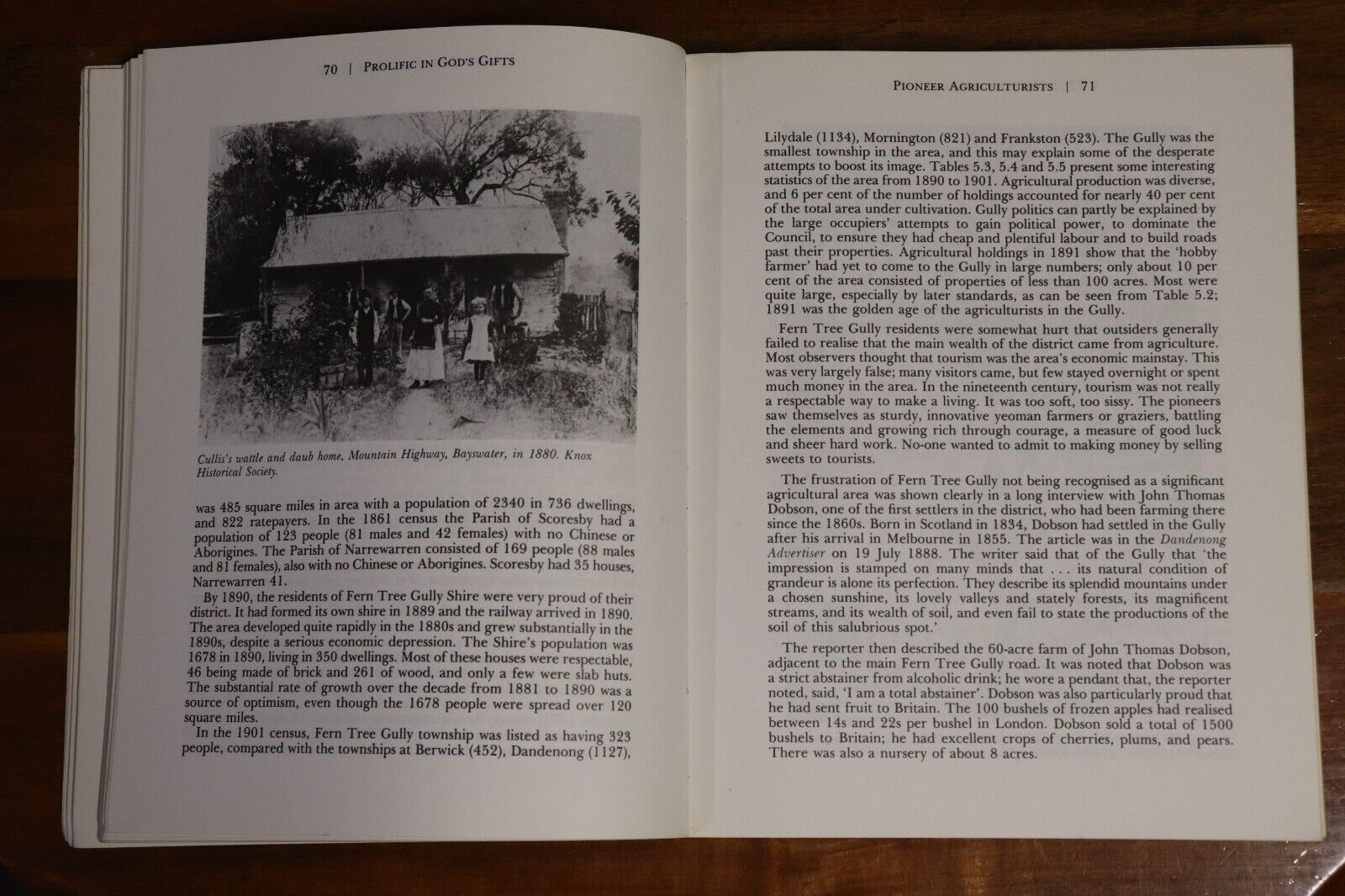 1983 Prolific In Gods Gifts: Knox & The Dandenongs Australian Local History Book