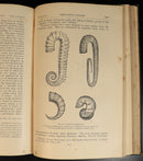 3c923357-1508-40bc-944f-00eb00eaaca2