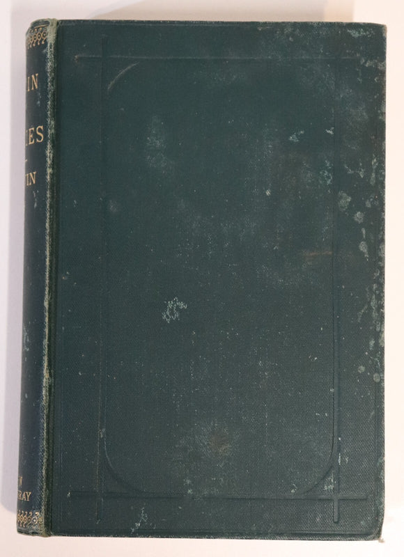 3d2b2c07-931b-4602-849c-1e8185bec810