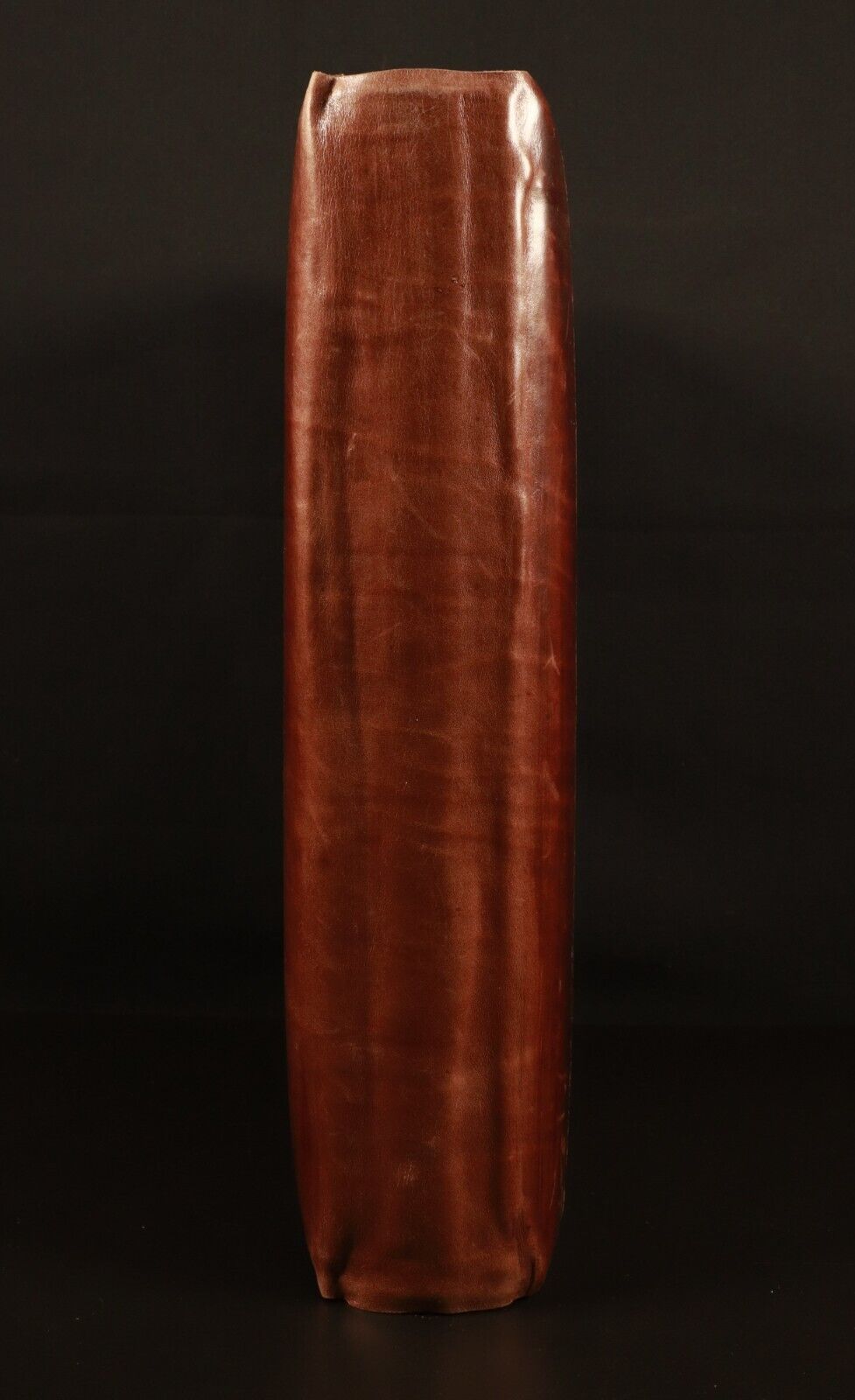 c1920 Antique Leather Photo Album Brass Clasp COOPER Family 54 Original Photos