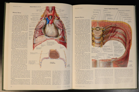 3d93d92c-8121-46b8-908c-ad7515a58fbc