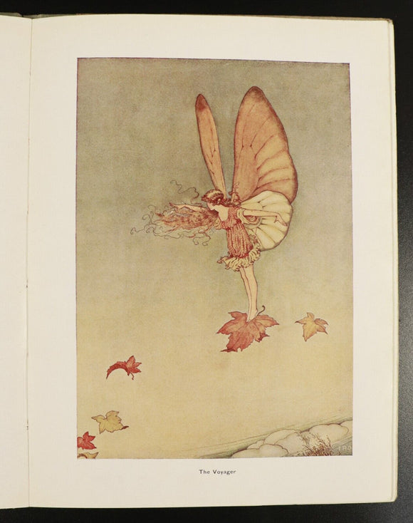 1919 Elves & Fairies Of Ida Rentoul Outhwaite Antique Australian Childrens Book