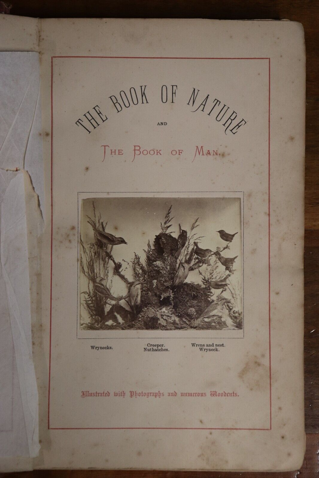 1870 The Book Of Nature & Of Man by C Napier Antique Science & Nature Book