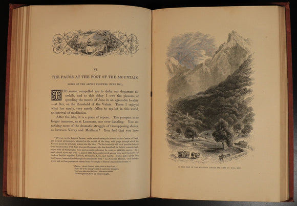 3e337a3b-107c-4c35-af03-873e44012b2b