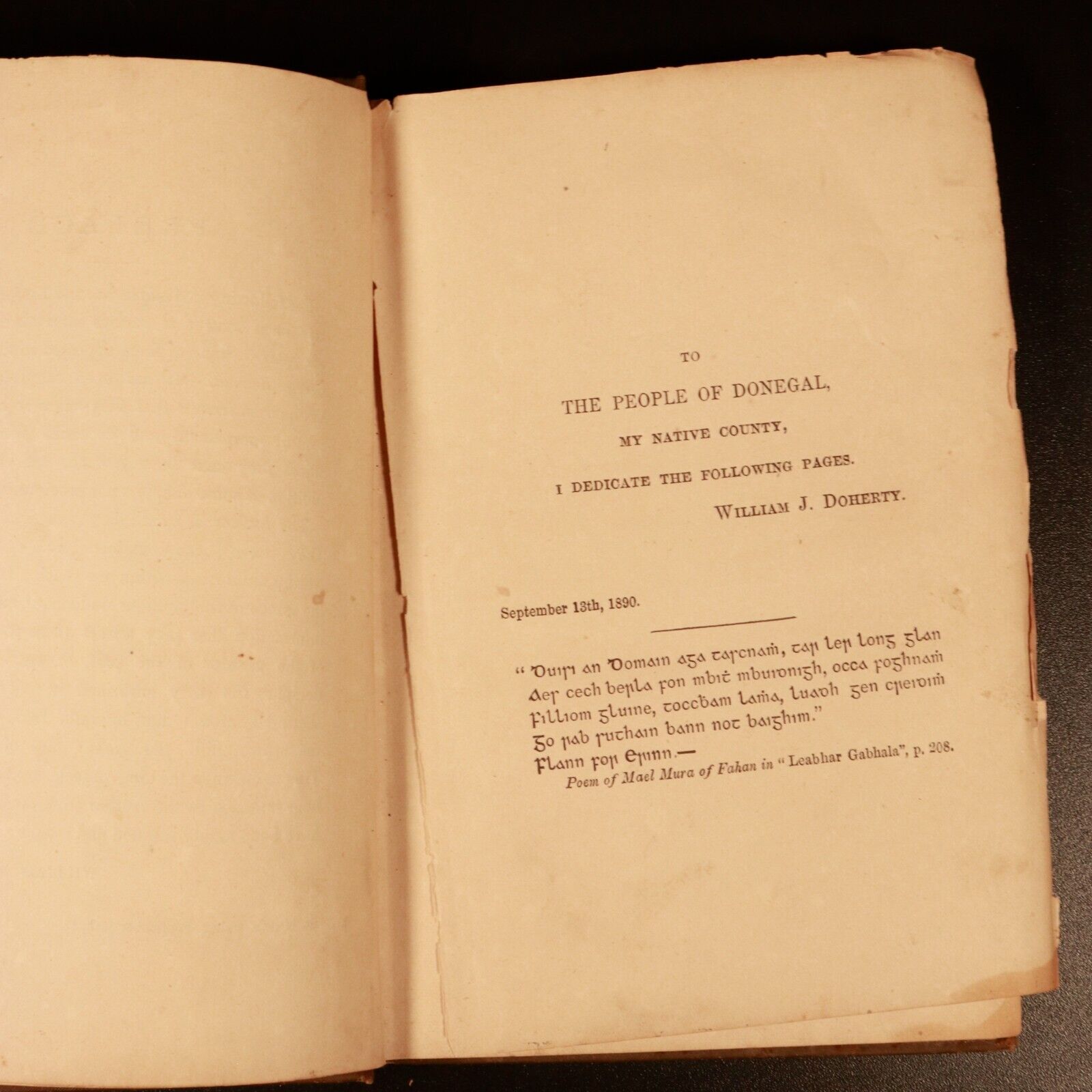 1891 Inis-Owen & Tirconnell by W Doherty Antiquarian Irish History Book 1 of 100