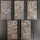 c1920 5vol Les Oeuvres d'Henry Bordeaux Antique French Fiction Books-19