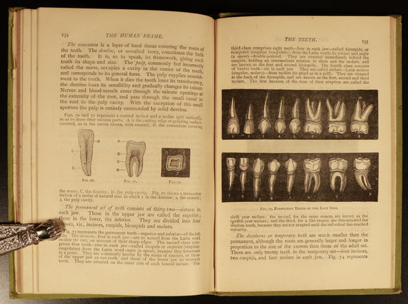 3fc6dc7a-ad1b-4992-a8ae-a7df6366dbcd