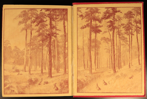 The Girls Own Annual 1917 Antique British Illustrated Girls Book Volume 38