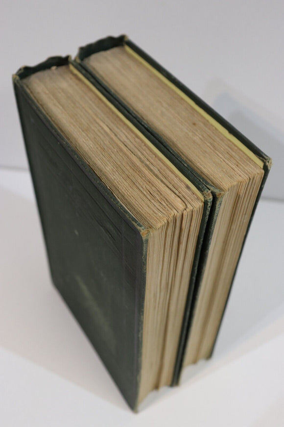 1879 2vol Nicholas Nickleby by Charles Dickens Antique British Fiction Book Set