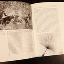 1971 The Mediterranean Cradle Of Western Culture by R. Carrington History Book-5