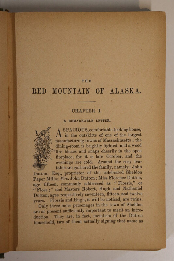c1910 The Red Mountain Of Alaska by W.B. Allen Antique Fiction Book