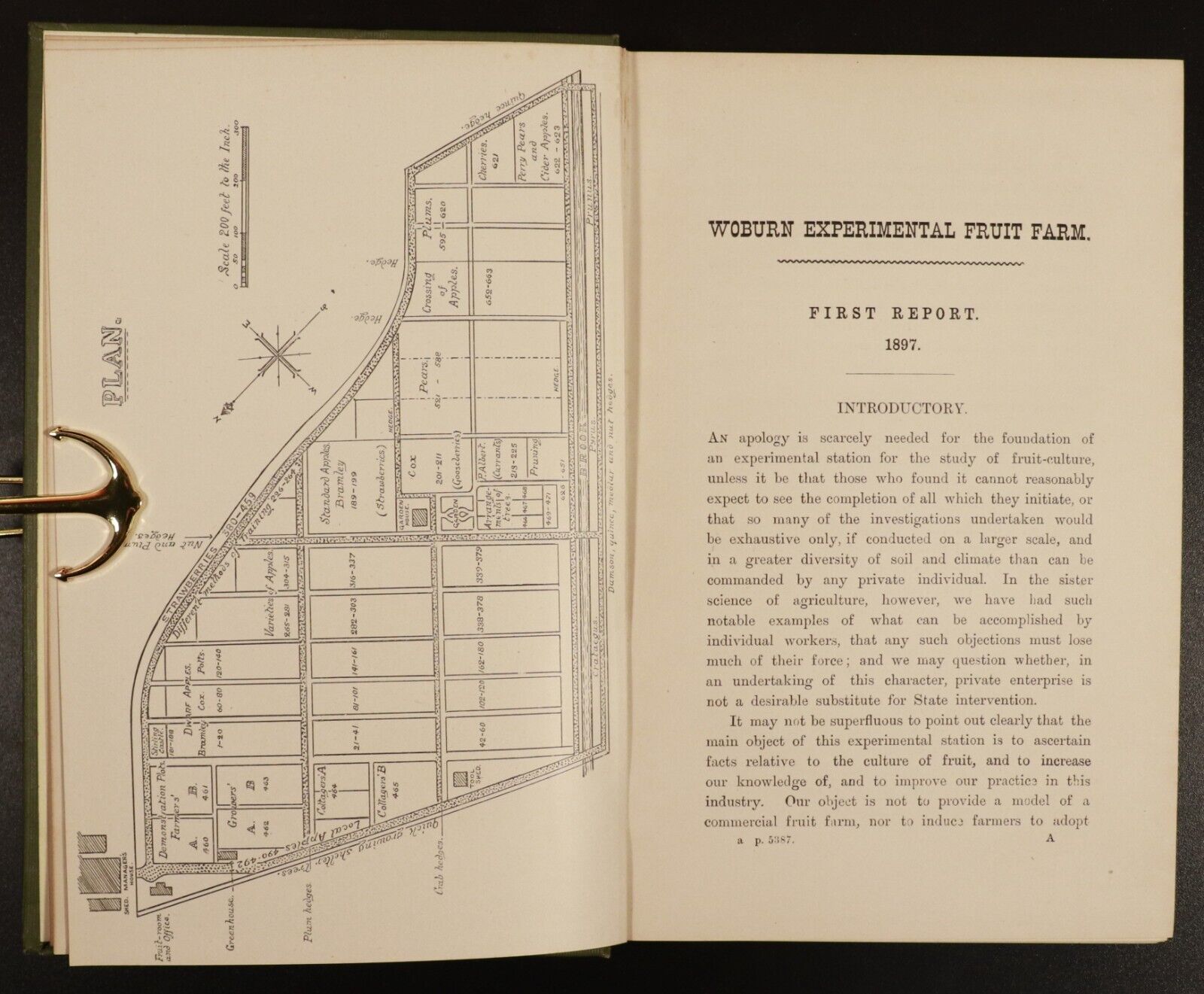 1897 Woburn Experimental Fruit Farm - Antique Natural History & Farming Book