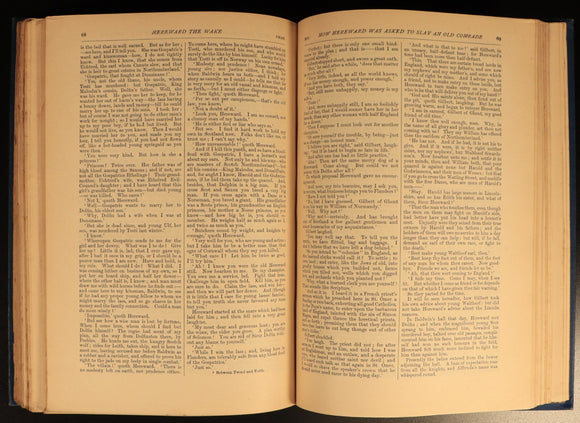 1890 Charles Kingsley Alton Locke Hereward The Wake etc Antique Fiction Books