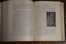 1911 Lande Og Folk Geografien Vol. 2 Antique Danish Geography Book-7