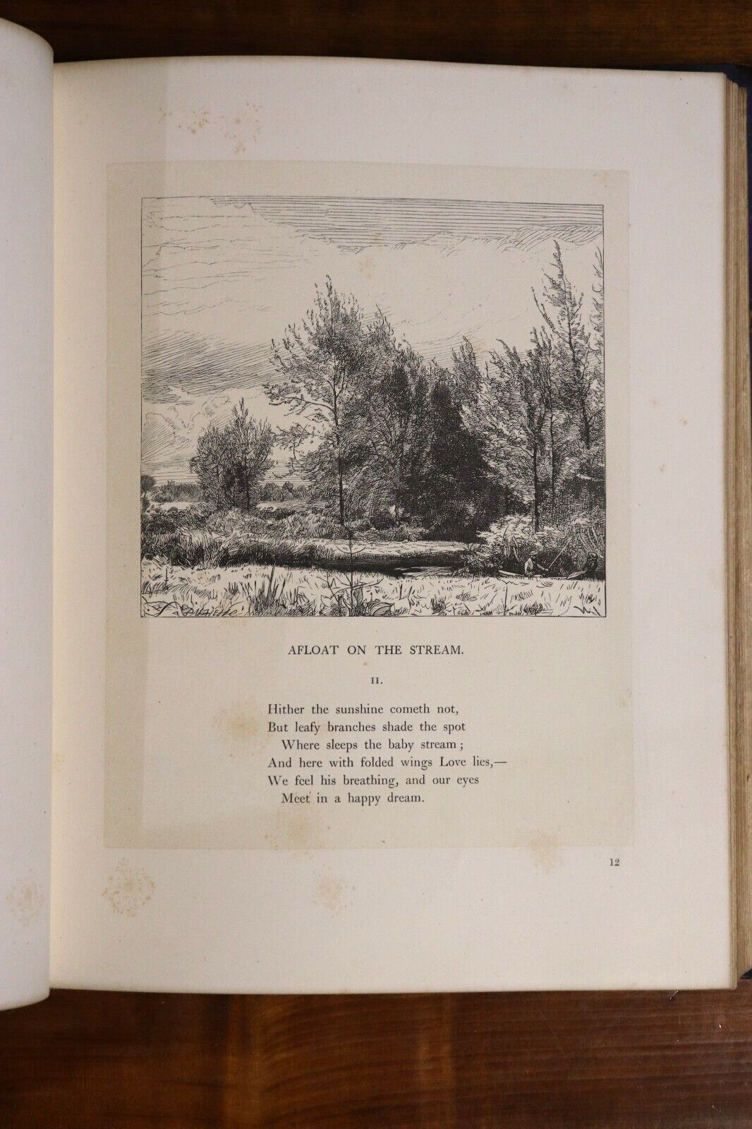 1867 Wayside Posies: Original Poems Of The Country Life Antiquarian Poetry Book