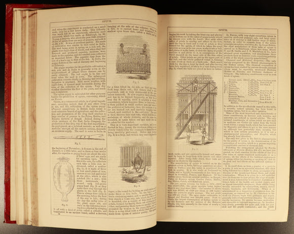 44c74b5c-7ee1-4f6c-85d4-9b6cebe71c20