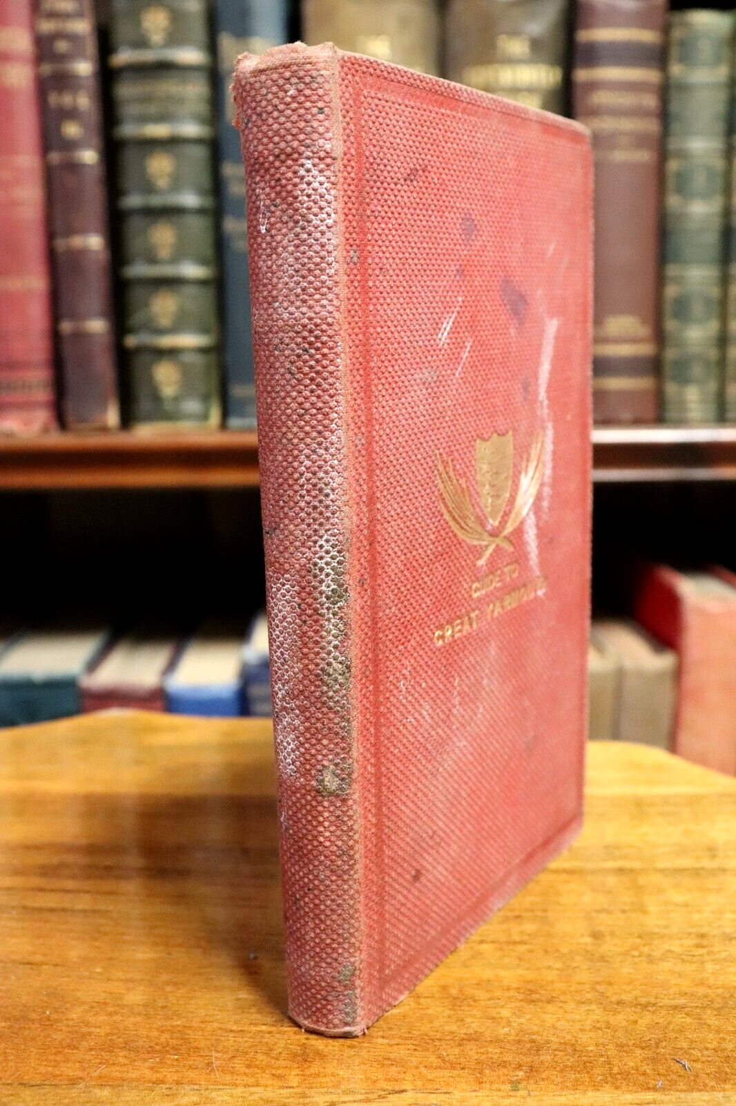 c1860 Pictorial Guide To Yarmouth Scarce Antique British Travel Guide Book