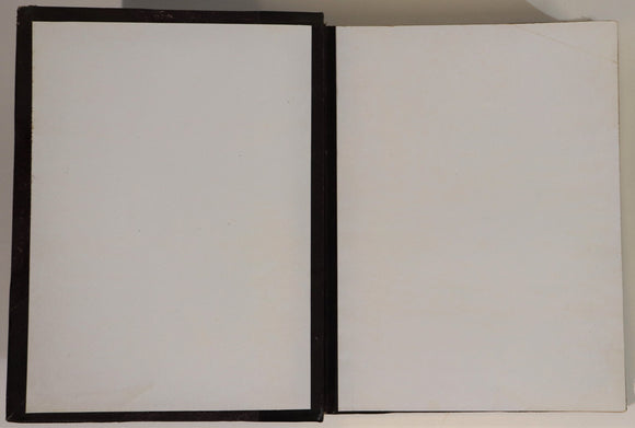 4509601f-b32f-469d-850d-f2fe5950e8ad