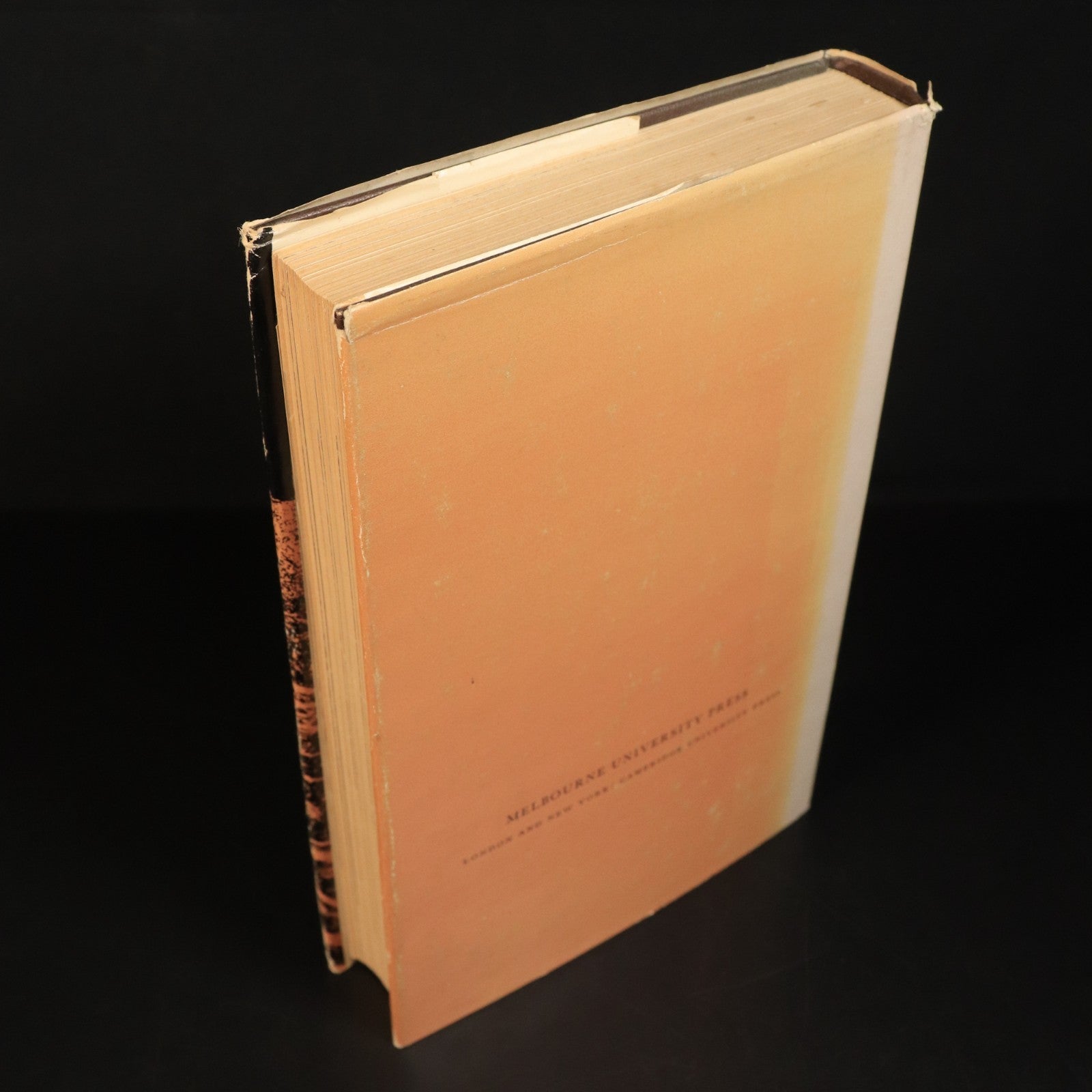 45314371-f80d-4a1f-b5c7-f27f0281019e