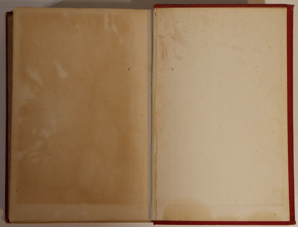 1898 The Spirit Of The Bush Fire: J Whitfeld Antique Australian Fiction Book