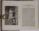 1864 The Sporting Magazine & Sporting Review Antique British Sport History Book-4